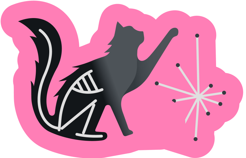 Hands-On Quantum Circuit Prototyping